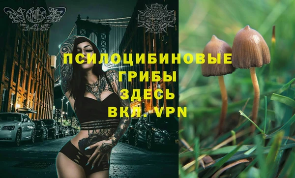 стафф Магас