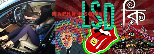 стафф Магас