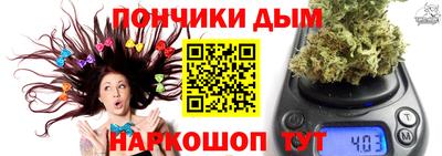 сатива Заводоуковск