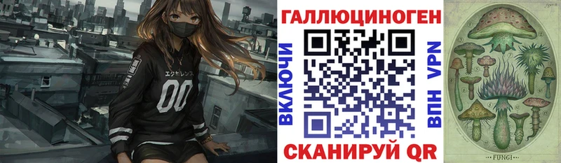 Галлюциногенные грибы Psilocybine cubensis  Назарово 