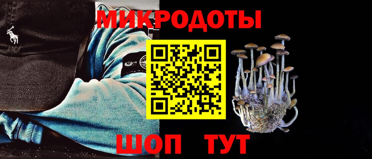 Назарово  Галлюциногенные грибы прущие грибы  Вход с VPN  Галлюциногенные грибы мицелий 